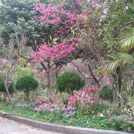 Ruyi Yuan Homestay Tongxiao Екстериор снимка
